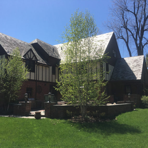 Patio Brick Stonework Birch